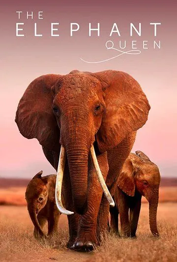 Королева слонов / The Elephant Queen (2019) фильм смотреть онлайн в хорошем качестве