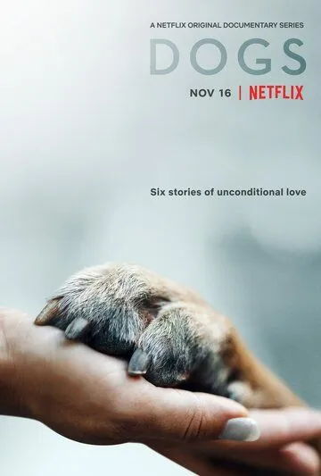 Собаки / Dogs (2018) cериал смотреть онлайн в хорошем качестве