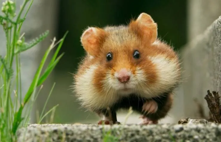 Семь миров, одна планета (2019) в хорошем качестве смотреть онлайн Семь миров, одна планета (2019) сериал в хорошем качестве смотреть онлайн