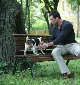 Общая терапия (2008) в хорошем качестве смотреть онлайн Общая терапия (2008) сериал в хорошем качестве смотреть онлайн