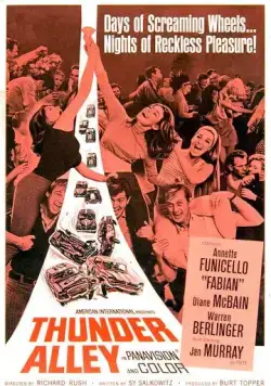 Грозовая аллея / Thunder Alley (1967) фильм смотреть онлайн в хорошем качестве
