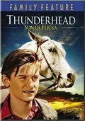 Грозовая туча – сын Флики / Thunderhead - Son of Flicka (1945) фильм смотреть онлайн в хорошем качестве