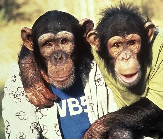 Король скейтборда (2001) смотреть онлайн Король скейтборда (2001) фильм смотреть онлайн