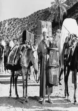 Али Баба и 40 разбойников (1954) в хорошем качестве смотреть онлайн Али Баба и 40 разбойников (1954) фильм в хорошем качестве смотреть онлайн