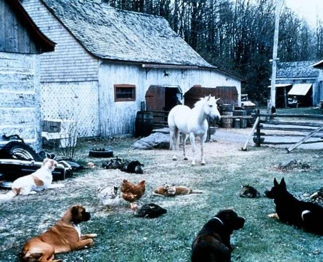 Нико-единорог (1998) смотреть онлайн Нико-единорог (1998) фильм смотреть онлайн