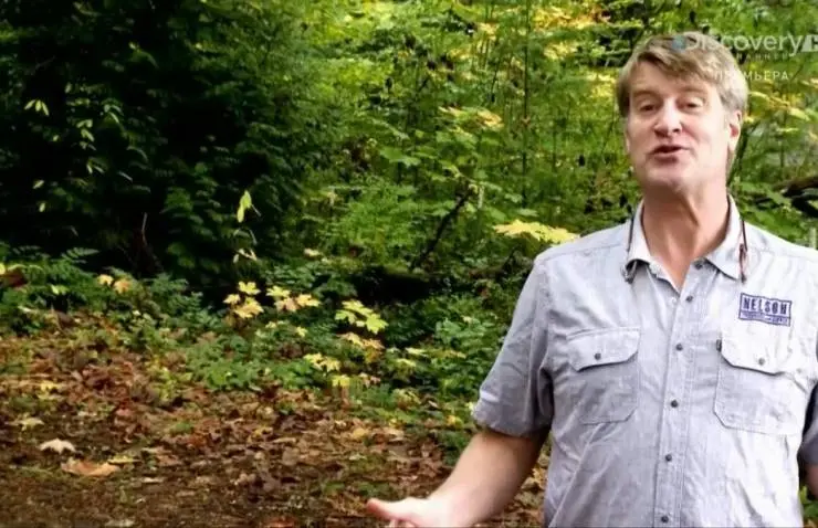 Дома на деревьях (2013) 1-5 сезон 1-7,8,9 серия в хорошем качестве смотреть онлайн Дома на деревьях (2013) сериал 1-7,8,9 серию 1-5 сезона в хорошем качестве смотреть онлайн