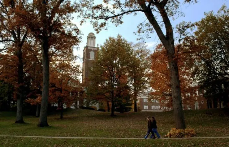 Вишня (2010) смотреть онлайн Вишня (2010) фильм смотреть онлайн