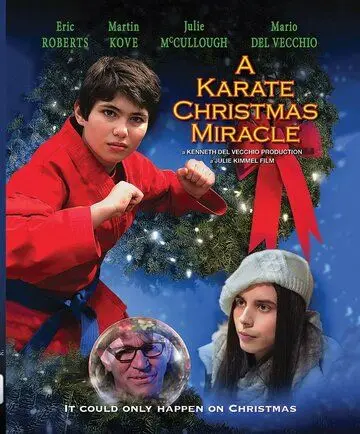 Рождественское чудо в стиле карате / A Karate Christmas Miracle (2019) фильм смотреть онлайн в хорошем качестве