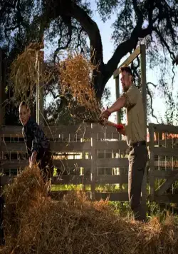 Потерянный муж (2020) в хорошем качестве смотреть онлайн Потерянный муж (2020) фильм в хорошем качестве смотреть онлайн