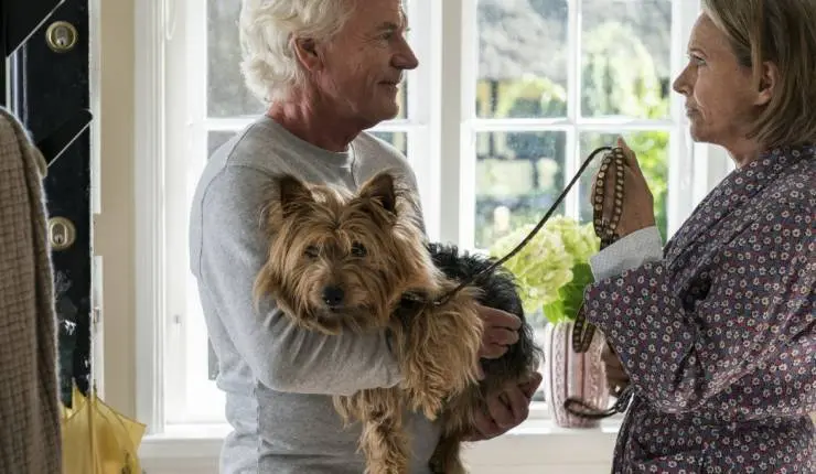 Счастливый конец (2018) в хорошем качестве смотреть онлайн Счастливый конец (2018) фильм в хорошем качестве смотреть онлайн