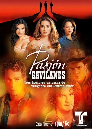Тайная страсть / Pasión de Gavilanes (2003) cериал смотреть онлайн в хорошем качестве