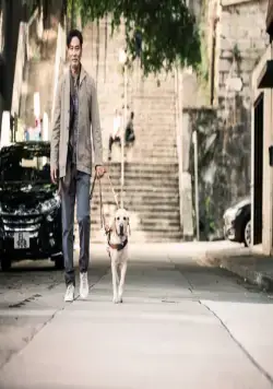 Маленький Кью (2019) смотреть онлайн Маленький Кью (2019) фильм смотреть онлайн