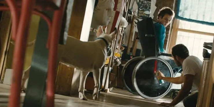 Неужели мы поняли друг друга? (2013) в хорошем качестве смотреть онлайн Неужели мы поняли друг друга? (2013) фильм в хорошем качестве смотреть онлайн