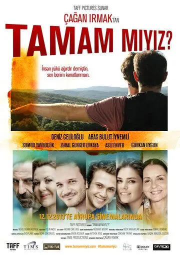 Неужели мы поняли друг друга? / Tamam miyiz? (2013) фильм смотреть онлайн в хорошем качестве