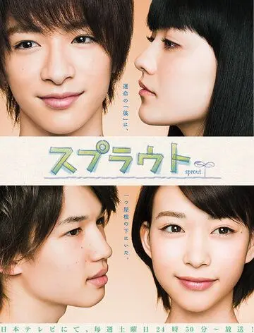 Ростки любви / Supuraito (2012) cериал смотреть онлайн Ростки любви / Supuraito (2012) cериал смотреть онлайн в хорошем качестве