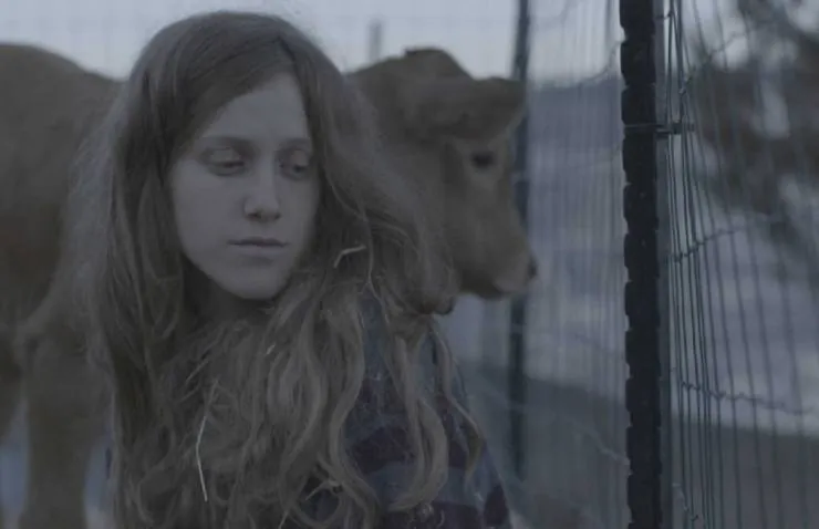 Красная корова (2018) смотреть онлайн Красная корова (2018) фильм смотреть онлайн