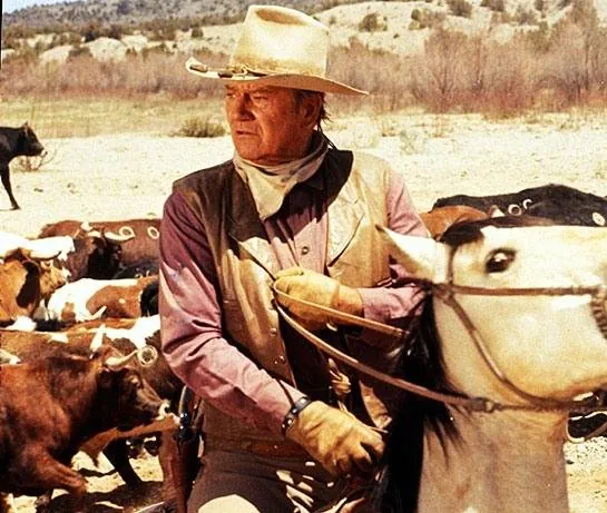 Ковбои (1972) смотреть онлайн бесплатно Ковбои (1972) фильм смотреть онлайн бесплатно