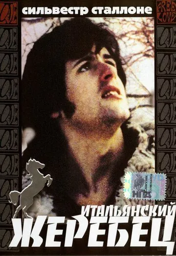 Итальянский жеребец / The Party at Kitty and Stud's (1970) фильм смотреть онлайн Итальянский жеребец / The Party at Kitty and Stud's (1970) фильм смотреть онлайн в хорошем качестве