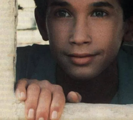 Мальчик на крыше (1990) смотреть онлайн бесплатно Мальчик на крыше (1990) фильм смотреть онлайн бесплатно