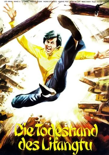 Каратисты в Стамбуле / Karateciler Istanbul'da (1974) фильм смотреть онлайн в хорошем качестве