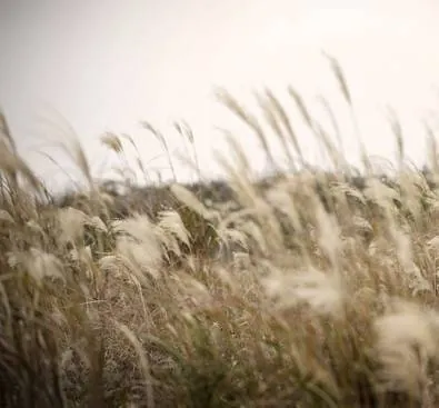 Пир богов (2012) смотреть онлайн бесплатно Пир богов (2012) сериал смотреть онлайн бесплатно