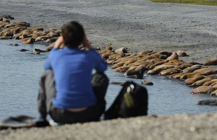 Несейка. Младшая дочь (2018) смотреть онлайн Несейка. Младшая дочь (2018) фильм смотреть онлайн