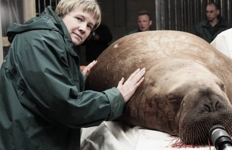 Несейка. Младшая дочь (2018) смотреть онлайн бесплатно Несейка. Младшая дочь (2018) фильм смотреть онлайн бесплатно