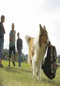 Лесси. Возвращение домой (2020) в хорошем качестве смотреть онлайн Лесси. Возвращение домой (2020) фильм в хорошем качестве смотреть онлайн