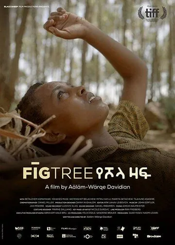 Инжир / Fig Tree (2018) фильм смотреть онлайн в хорошем качестве