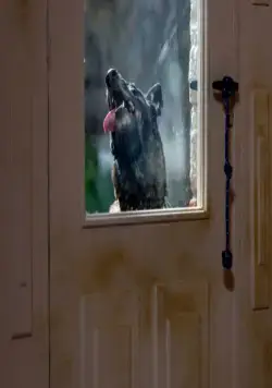 Cuerdas (2019) смотреть онлайн бесплатно Cuerdas (2019) фильм смотреть онлайн бесплатно