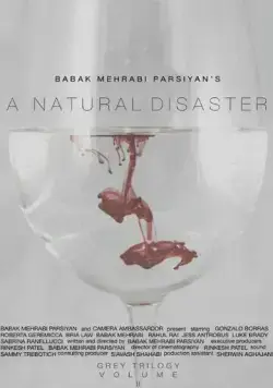 A Natural Disaster (2016) фильм смотреть онлайн в хорошем качестве