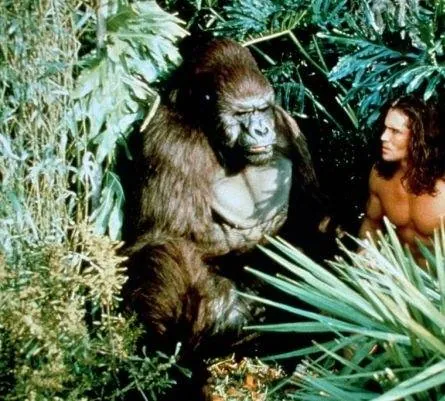 Тарзан: История приключений (1996) смотреть онлайн Тарзан: История приключений (1996) сериал смотреть онлайн