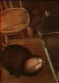 Лень (1979) мультфильм смотреть онлайн в хорошем качестве