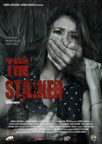Сталкер / The Stalker (2013) фильм смотреть онлайн Сталкер / The Stalker (2013) фильм смотреть онлайн в хорошем качестве