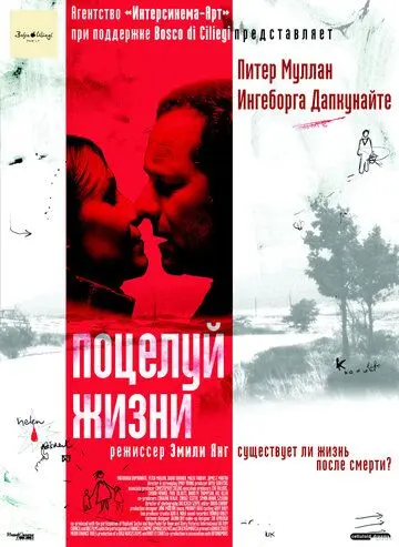 Поцелуй жизни / Kiss of Life (2003) фильм смотреть онлайн в хорошем качестве
