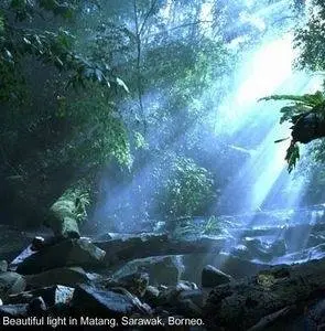 Букашки! 3D (2003) смотреть онлайн Букашки! 3D (2003) фильм смотреть онлайн