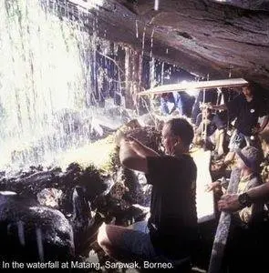 Букашки! 3D (2003) в хорошем качестве смотреть онлайн Букашки! 3D (2003) фильм в хорошем качестве смотреть онлайн