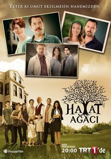 Дерево жизни / Hayat Agaci (2014) cериал смотреть онлайн Дерево жизни / Hayat Agaci (2014) cериал смотреть онлайн в хорошем качестве