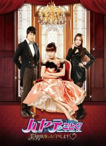 Хаятэ, боевой дворецкий / Xuan feng guan jia (2011) cериал смотреть онлайн в хорошем качестве