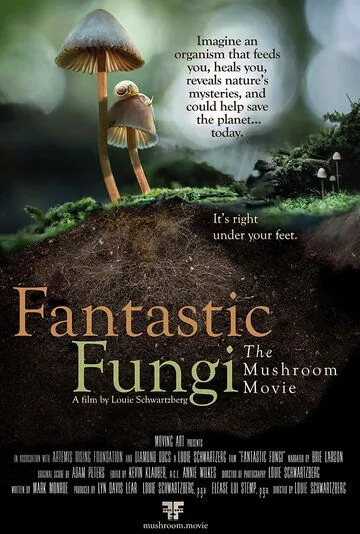 Фантастические грибы / Fantastic Fungi (2019) фильм смотреть онлайн в хорошем качестве