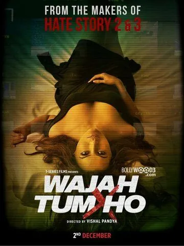 Ты всему причина / Wajah Tum Ho (2016) фильм смотреть онлайн в хорошем качестве