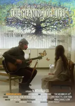 Смысл жизни / The Meaning of Life (2017) фильм смотреть онлайн в хорошем качестве