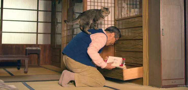 Кот и дедуля (2018) смотреть онлайн Кот и дедуля (2018) фильм смотреть онлайн