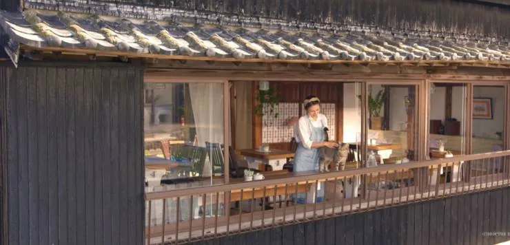 Кот и дедуля (2018) в хорошем качестве смотреть онлайн Кот и дедуля (2018) фильм в хорошем качестве смотреть онлайн