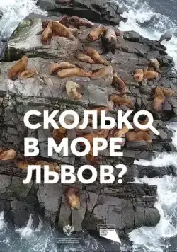 Сколько в море львов? (2018) фильм смотреть онлайн в хорошем качестве