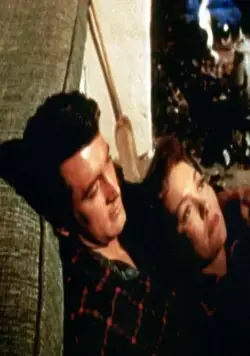 Все, что дозволено небесами (1955) смотреть онлайн Все, что дозволено небесами (1955) фильм смотреть онлайн