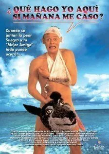 Особенности холостяцкой вечеринки / Staggered (1994) фильм смотреть онлайн Особенности холостяцкой вечеринки / Staggered (1994) фильм смотреть онлайн в хорошем качестве