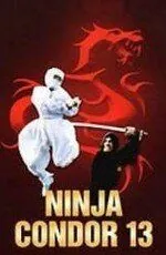 Ниндзя-стервятник / Ninjas, Condors 13 (1987) фильм смотреть онлайн в хорошем качестве