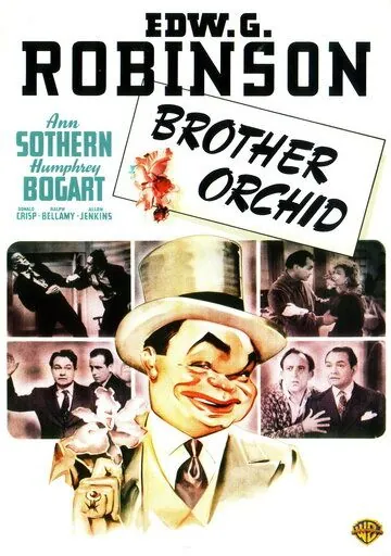 Брат «Орхидея» / Brother Orchid (1940) фильм смотреть онлайн Брат «Орхидея» / Brother Orchid (1940) фильм смотреть онлайн в хорошем качестве