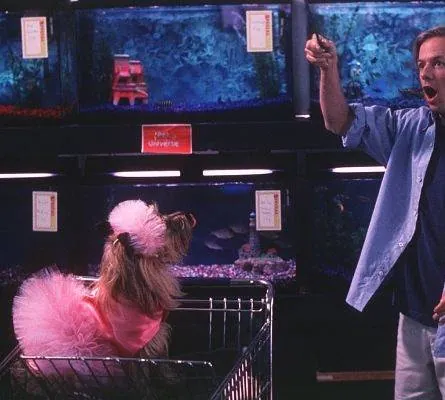 Счастливая пропажа (1999) смотреть онлайн бесплатно Счастливая пропажа (1999) фильм смотреть онлайн бесплатно